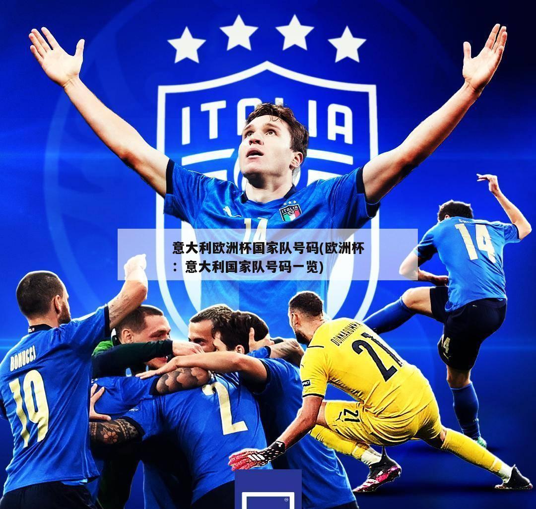 意大利欧洲杯国家队号码(欧洲杯：意大利国家队号码一览)